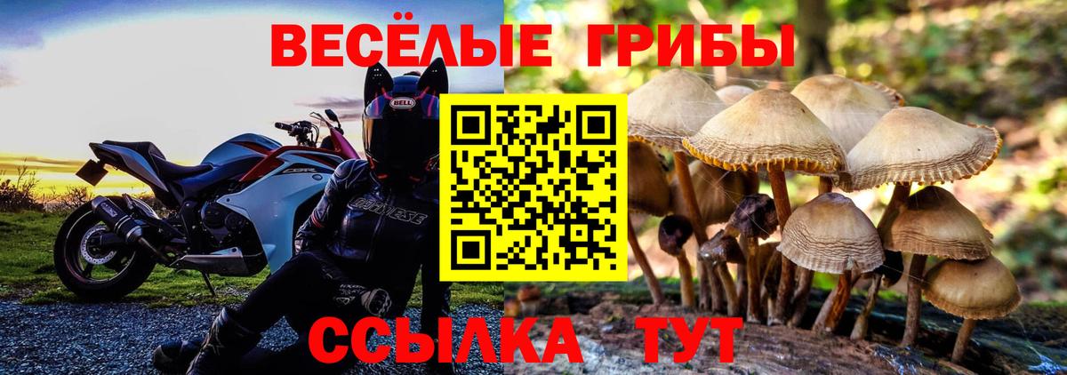 Галлюциногенные грибы Cubensis Знаменск
