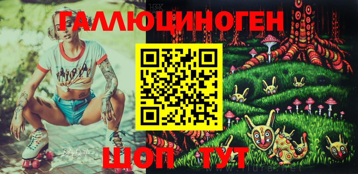 Галлюциногенные грибы Psilocybe  купить закладку  Знаменск  Вход с VPN 